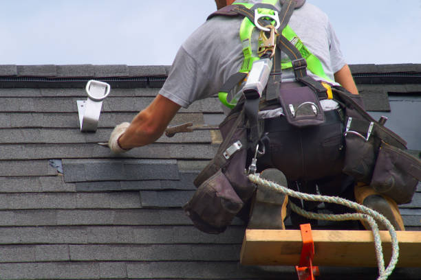Best Roof Gutter Cleaning  in Woodbury Heights, NJ